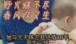 陈志显爆料孩子视频,揭秘背后真相