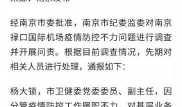 宣妃吃瓜日常免费阅读,宫廷秘闻大揭秘